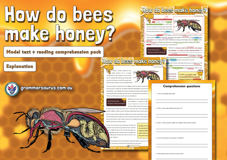 Year 6 Model Text - Procedure & Explanation - How Do Bees Make Honey ...